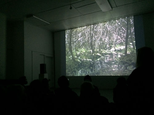 Maggi Payne video/sound performance at LAND AND SEA, 2016