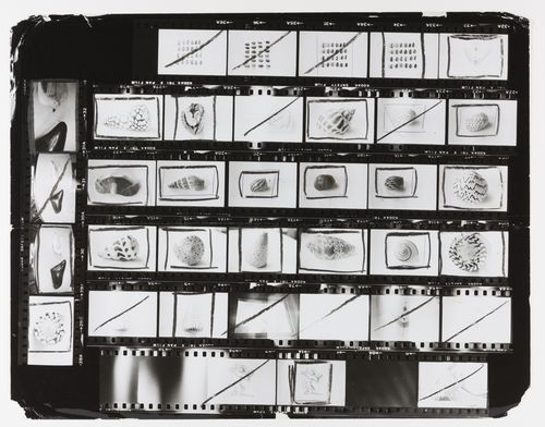 Corita Kent, Untitled, 1976