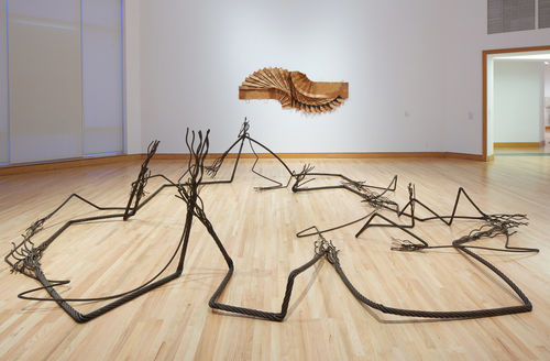 Foreground: Maren Hassinger, "A Place for Nature," 2011; background: David Hammons, "Bag Lady in Flight," 1970s. Installation view at Williams College Museum of Art, Williamstown, MA