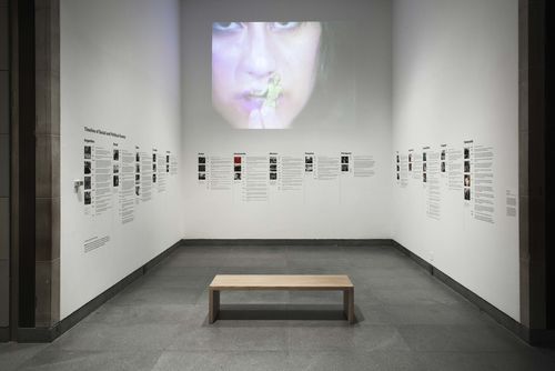 Exhibition timeline with Gloria Camiruaga, Popsicles, 1982/1984, projected above. Installation view at Brooklyn Museum, New York