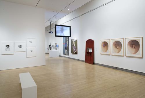 Mapping the Body gallery. Installation view at Brooklyn Museum, New York
