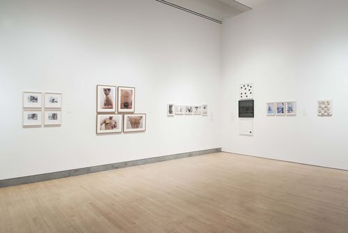 Mapping the Body gallery. From left to right: works by Eugenia Vargas Pereira, Ana Mendieta, María Evelia Marmolejo, Anna Maria Maiolino, Lygia Clark, and Amelia Toledo. Installation view at Brooklyn Museum, New York
