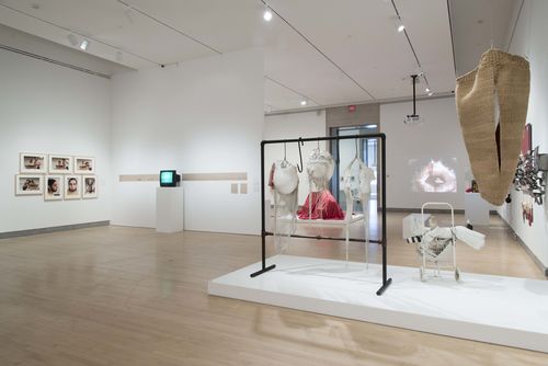 Mapping the Body gallery. Foreground, from left to right: Johanna Hamann, Barrigas (Bellies), 1979–83, Dalila Puzzovio, Escape de gas (Gas Leak), 1963, and Marta Palau, Ilerda V, 1973. Installation view at Brooklyn Museum, New York
