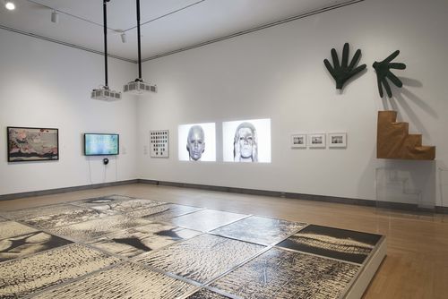 Body Landscape gallery. Foreground, on floor: Vera Chaves Barcellos, Epidermic Scapes, 1977/1982. Installation view at Brooklyn Museum, New York

