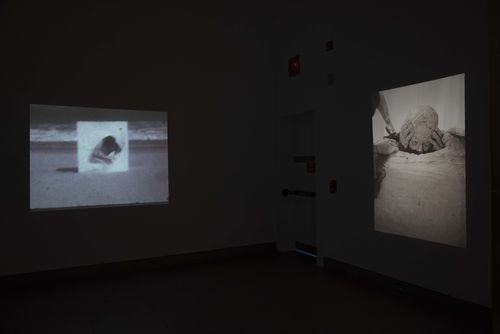 Body Landscape gallery. From left to right: Lygia Pape, O Ovo (The Egg), 1967, and Celeida Tostes, Passagem (Passage), 1979/1992. Installation view at Brooklyn Museum, New York

