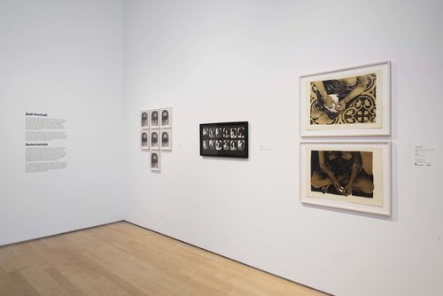 Self-Portrait gallery. From left to right: Rosa Navarro, Nacer y morir de una rosa (Birth and death of a rose), 1982, Regina Vater, Tina America, 1976, and Liliane Dardot, O risco do bordado (The Risk of Needlework), 1981 [top], and Ritual, 1981 [bottom]. Installation view at Brooklyn Museum, New York
