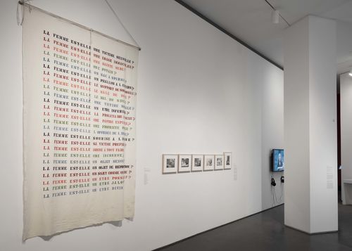 Feminisms gallery. From left to right: Lea Lublin, Interrogations sur la Femme (Interrogations about Woman), 1978, and Mon Fils (My Son), 1968. Installation view at Brooklyn Museum, New York
