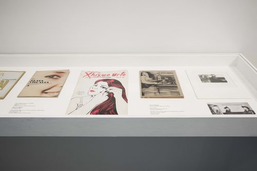 Feminisms gallery. In vitrine, from left to right: works by Mónica Mayer, Barbara Carrasco, and Carla Rippey. Installation view at Brooklyn Museum, New York
