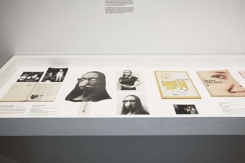 Feminisms gallery. In vitrine, from left to right: works by Polvo de Gallina Negra, Maria Bustamante, and Mónica Mayer. Installation view at Brooklyn Museum, New York
