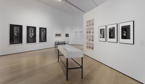 Self-Portrait gallery. Installation view at the Hammer Museum, Los Angeles
