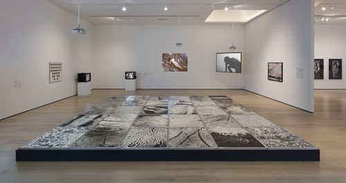 Body Landscape gallery. Foreground: Vera Chaves Barcellos, Epidermic Scapes, 1977/1982. Installation view at the Hammer Museum, Los Angeles