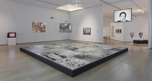 Body Landscape gallery. Foreground: Vera Chaves Barcellos, Epidermic Scapes, 1977/1982. Installation view at the Hammer Museum, Los Angeles