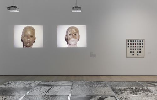 Body Landscape gallery. On wall, from left to right: Yeni y Nan, Transfiguración elemento tierra: Yeni & Nan (Transfiguration element earth: Yeni & Nan), and Transfiguración elemento tierra (Transfiguration element earth), 1983. Installation view at the Hammer Museum, Los Angeles