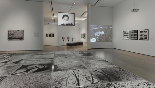 Body Landscape gallery. Installation view at the Hammer Museum, Los Angeles