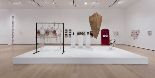 Mapping the Body gallery. Foreground, from left to right: Johanna Hamann, Barrigas (Bellies), 1979–83, and Marta Palau, Ilerda V, 1973 (hanging). Installation view at the Hammer Museum, Los Angeles