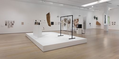 Mapping the Body gallery. Installation view at the Hammer Museum, Los Angeles
