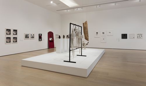 Mapping the Body gallery. Foreground: Johanna Hamann, Barrigas (Bellies), 1979–83. Installation view at the Hammer Museum, Los Angeles