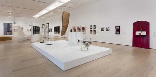 Mapping the Body gallery. Installation view at the Hammer Museum, Los Angeles