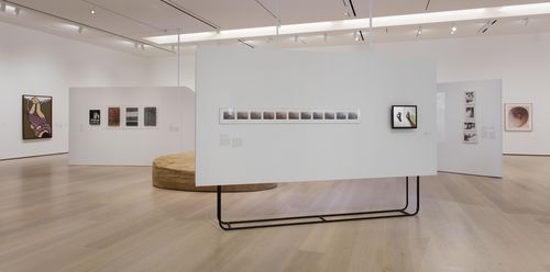 Resistance and Fear gallery. Foreground, from left to right: Sara Modiano, Untitled, 1981, from the series Desaparece una cultura (A culture disappears), and Regina Silveira, A Arte de Desenhar (The Art of Drawing), 1980. Installation view at the Hammer Museum, Los Angeles