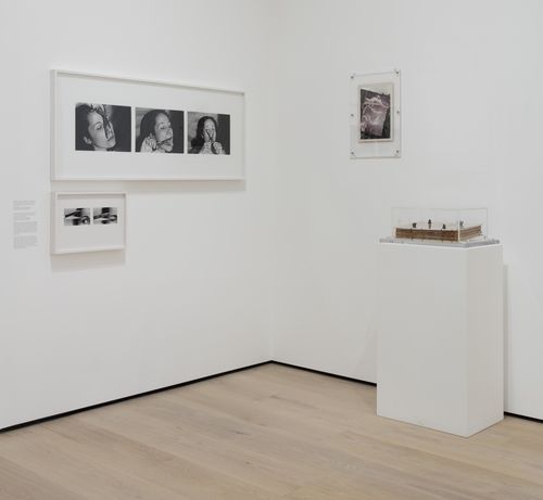 Resistance and Fear gallery. From left to right: Anna Maria Maiolino, É o que sobra (What is left), 1974 [top], and X, 1974 [bottom], and Catalina Parra, Cicatriz (Scar), 1977, and Diario de vida (Diary of Life), 1977. Installation view at the Hammer Museum, Los Angeles