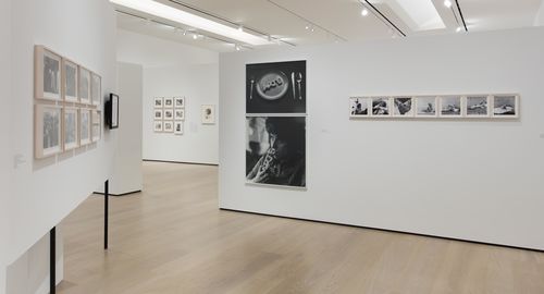 The Power of Words gallery. On wall, from left to right: Regina Silveira, Biscoito Arte (Art Biscuit), 1976/1997, and Marta Minujín, Leyendo las noticias (Reading the News), 1965. Installation view at the Hammer Museum, Los Angeles