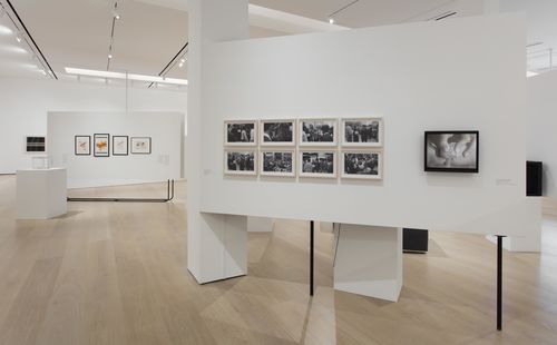 The Power of Words gallery. Foreground, on wall, from left to right: Janet Toro, Dos preguntas (Two questions), 1986, and Letícia Parente, Marca Registrada (Trademark), 1975. Installation view at the Hammer Museum, Los Angeles