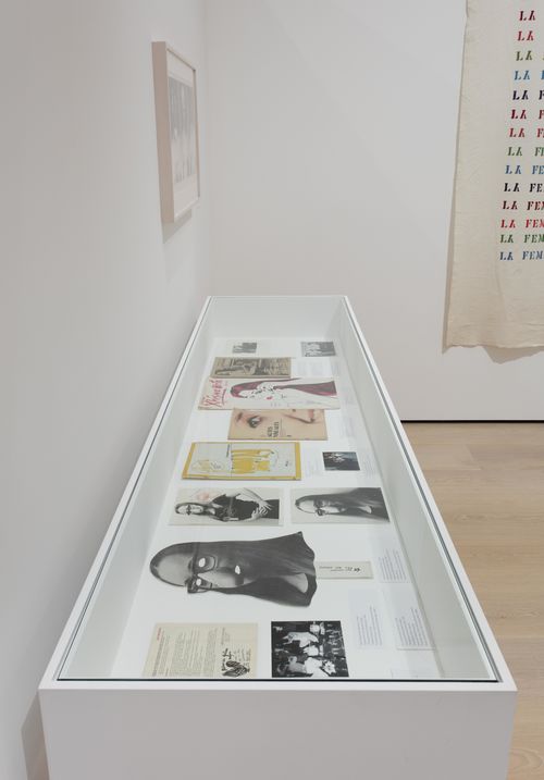 Feminisms gallery. In vitrine: works by Polvo de Gallina Negra, Maria Bustamante, Mónica Mayer, Barbara Carrasco, and Carla Rippey. Installation view at the Hammer Museum, Los Angeles