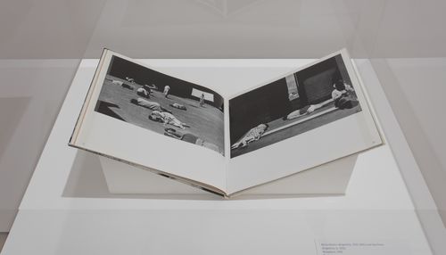 Alicia d'Amico and Sara Facio, Humanario, 1976. Installation view at the Hammer Museum, Los Angeles