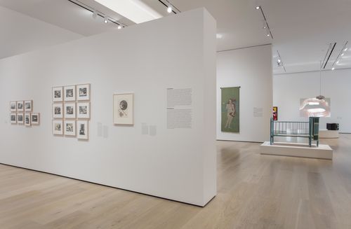 Feminisms gallery. Installation view at the Hammer Museum, Los Angeles