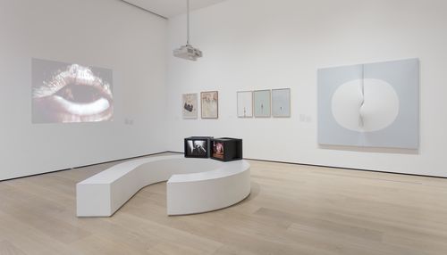 The Erotic gallery. On monitors, from left to right: Silvia Gruner, Nude Descending and The Original Sin/Reproduction, 1986. On wall, from left to right: Lygia Pape, Eat Me, 1975, Karen Lamassonne, two works from the series Baños (Bathrooms), Mercedes Elena González, Vulvosa (tríptico) (Vulviform [triptych]), 1979–81, and Zilia Sánchez, Lunar V (Moon V), 1975. Installation view at the Hammer Museum, Los Angeles