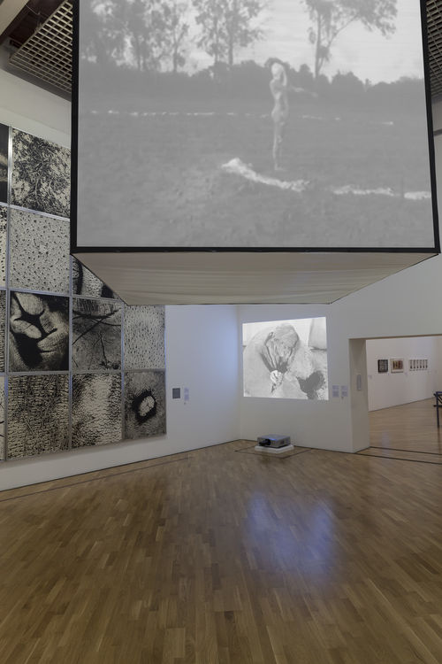 Paisagem do corpo (Body Landscape) gallery. Above: María Evelia Marmolejo, Anónimo 3 (Anonymous 3), 1982; background, from left to right:  Vera Chaves Barcellos, Epidermic Scapes, 1977/1982, and Celeida Tostes, Passagem (Passage), 1979/1992. Installation view at Pinacoteca de São Paulo
