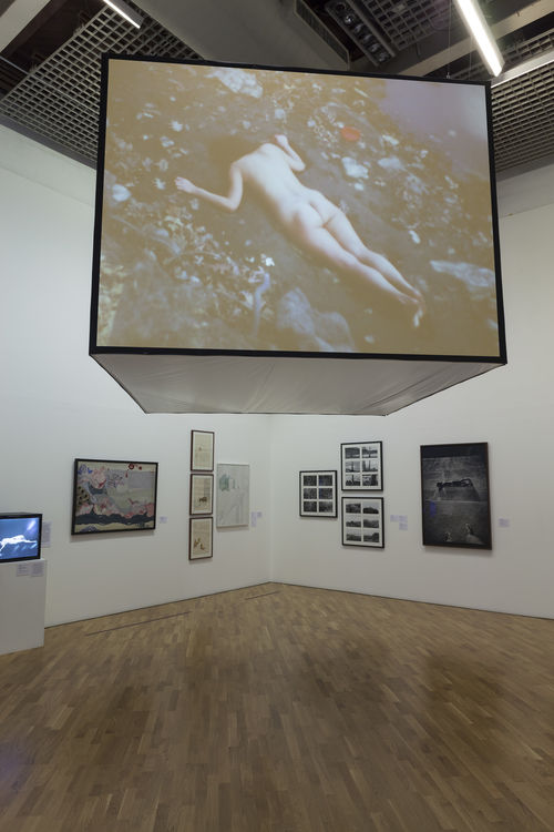 Paisagem do corpo (Body Landscape) gallery. Above: Ana Mendieta, Corazón de Roca con Sangre (Rock Heart with Blood), 1975. Installation view at Pinacoteca de São Paulo
