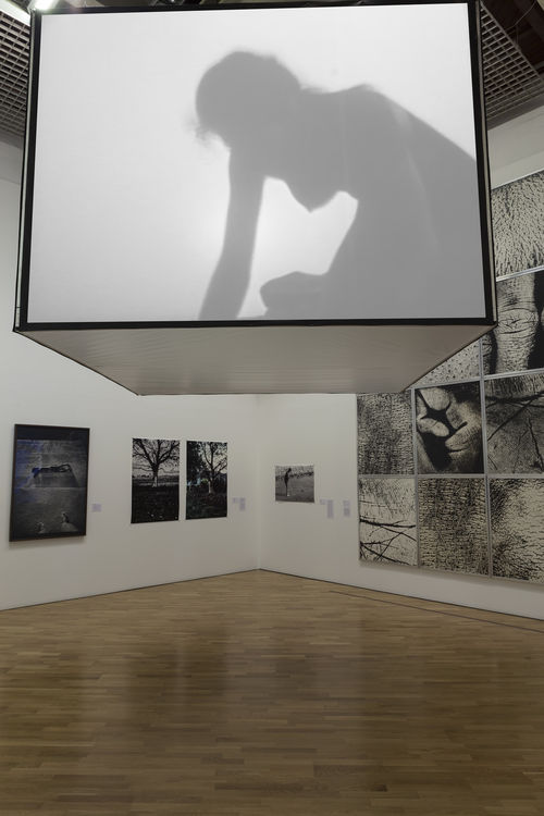 Paisagem do corpo (Body Landscape) gallery. Above: Silvia Gruner, Arena (Sand), 1986. Installation view at Pinacoteca de São Paulo