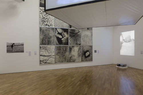 Paisagem do corpo (Body Landscape) gallery. From left to right: Cecilia Vicuña, Casa Espiral, Co com, 1966, Vera Chaves Barcellos, Epidermic Scapes, 1977/1982, and Celeida Tostes, Passagem (Passage), 1979/1992. Installation view at Pinacoteca de São Paulo