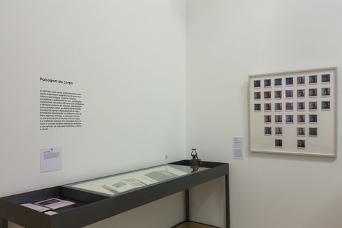 Paisagem do corpo (Body Landscape) gallery. On right wall: Yeni y Nan, Transfiguración elemento tierra (Transfiguration element earth), 1983. Installation view at Pinacoteca de São Paulo
