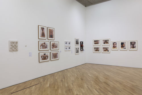 Mapeando o corpo (Mapping the Body) gallery. Left wall, from left to right: works by Amelia Toledo, Ana Mendieta, Eugenia Vargas Pereira, Liliana Maresca; right wall: Ana Mendieta, Untitled (Facial Hair Transplants), 1972. Installation view at Pinacoteca de São Paulo
