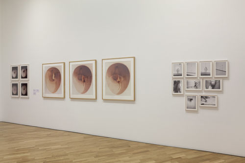 Mapeando o corpo (Mapping the Body) gallery. From left to right: Sophie Rivera, Bowl Study and Rouge et noir (Red and black), 1977–78, and María Evelia Marmolejo, 11 de marzo–Ritual a la menstruación, digno de toda mujer como antecedente del origen de la vida (March 11–Ritual in honor of menstruation, worthy of every woman as a precursor to the origin of life), 1981. Installation view at Pinacoteca de São Paulo
