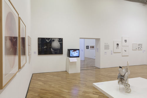 Mapeando o corpo (Mapping the Body) gallery. Foreground, from left to right: Dalila Puzzovio, Escape de gas (Gas Leak), 1963; rear wall, from left to right: works by Claudia Andujar, Sandra Llano-Mejía, Liliana Porter, and Anna Maria Maiolino. Installation view at Pinacoteca de São Paulo
