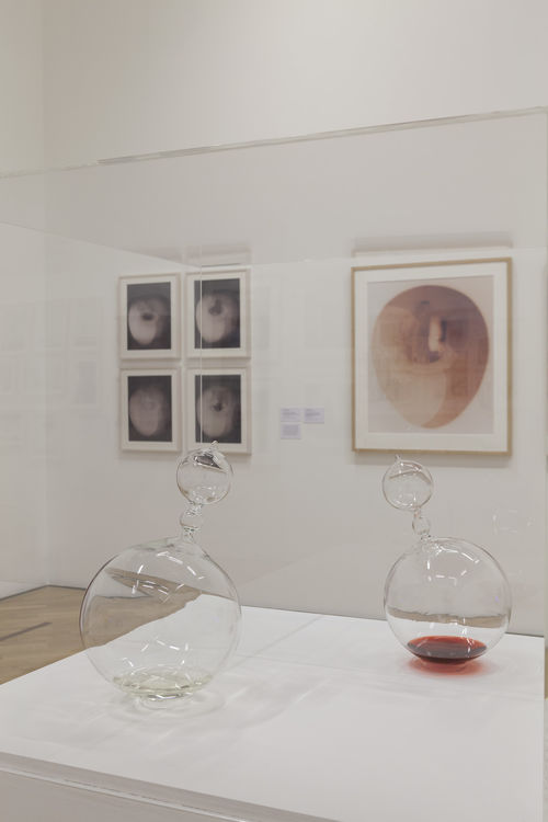 Mapeando o corpo (Mapping the Body) gallery. Foreground: Amelia Toledo, Glu-Glu, 1968; background: Sophie Rivera, Bowl Study and Rouge et noir (Red and black), 1977–78. Installation view at Pinacoteca de São Paulo
