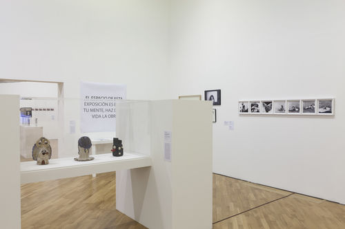 Foreground, in vitrine, from left to right: Tecla Tofano, En via de liberación (On the way to liberation), 1975, Sra. Mascara de Cutis (Mrs. Skin Mask), 1977, and Medio de Reproducción Visual (Visual reproduction medium), 1973. Installation view at Pinacoteca de São Paulo

