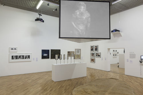 Resistência e medo (Resistance and Fear) gallery. Projected above: María Evelia Marmolejo, Anónimo 4 (Anonymous 4), 1984. Installation view at Pinacoteca de São Paulo
