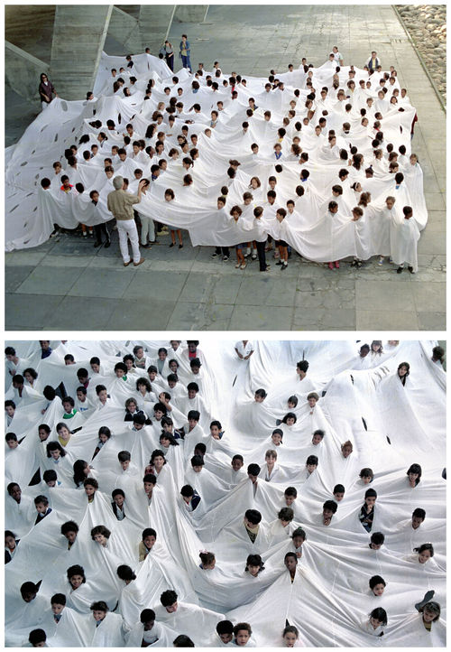 Fig. 4. Lygia Pape, Divisor (Divider), 1968