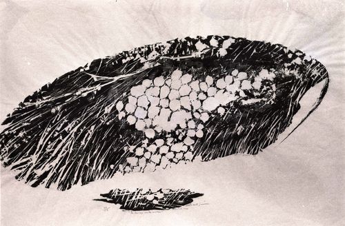 Fig. 1a. Edith Jiménez, La sangre en la madera (Blood in the wood), 1967