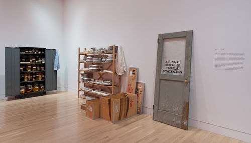 Two installations by Mark Dion. On left: "The Department of Marine Animal Identification of the City of New York (Chinatown Division)," 1992; on right: "N.Y. State Bureau of Tropical Conservation," 1992. Installation view at the Hammer Museum, Los Angeles 