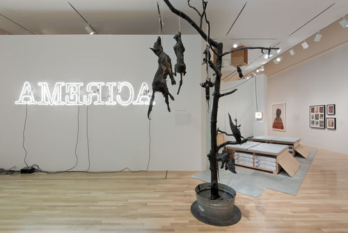 Foreground: Mark Dion, "Killers Killed," 1994–2007; background, from left to right: Glenn Ligon, "Rückenfigur," 2009, Stephen Prina, "The Second Sentence of Everything I Read Is You: Mourning Sex," 2005–7, Fred Wilson, "Slit," 1995, and three works by Paul McCarthy: "Subjective Subliminal Ads," 1976–79, "Winston Longs (collage)," 1976–79, and "The Dickies," 1976–79. Installation view at the Hammer Museum, Los Angeles