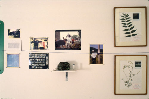 Documentation from a Project for Sculpture Chicago, by Mark Dion and the Chicago Urban Ecology Action Group, 1993. Installation view, What Happened to the Institutional Critique?, American Fine Arts, Co., New York, 1993. 