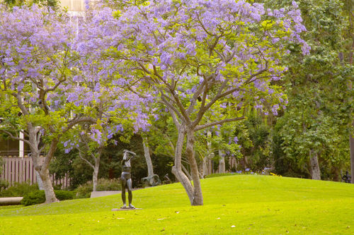 A large grassy area with trees in the middle ground blooming with purple flowers, and a single bronze sculpture of a nude woman standing on the grass in the middle ground, and another abstract sculpture in the background. More trees are in the background, and appear to obscure buildings.