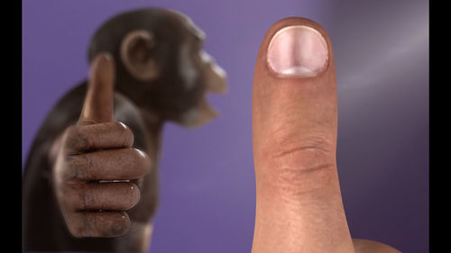 Single-channel 16:10 HD projection with 5.1 surround sound. 8 min. Courtesy of the artist and Cabinet, London.