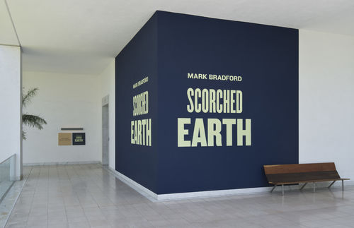 Scorched Earth installation view
