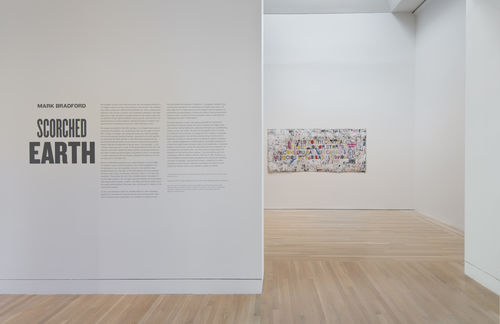 Scorched Earth installation view